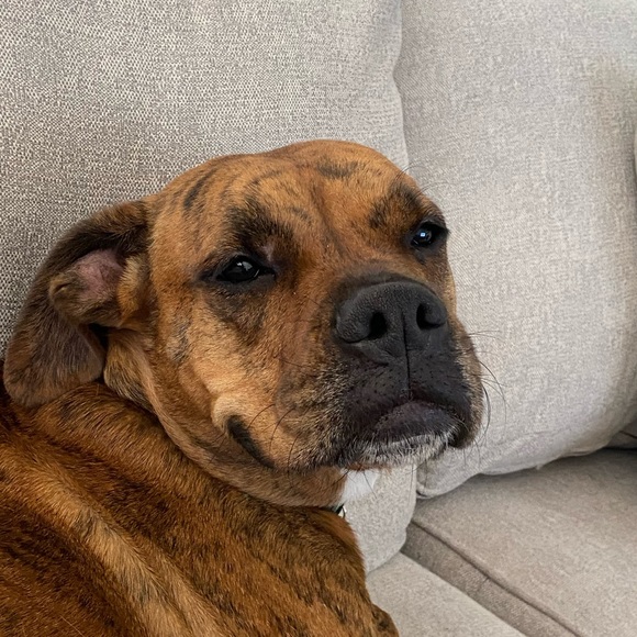 Meet your Posher, Kyle - Picture 1 of 1